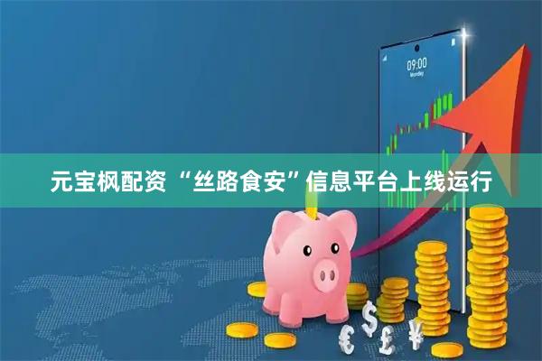 元宝枫配资 “丝路食安”信息平台上线运行